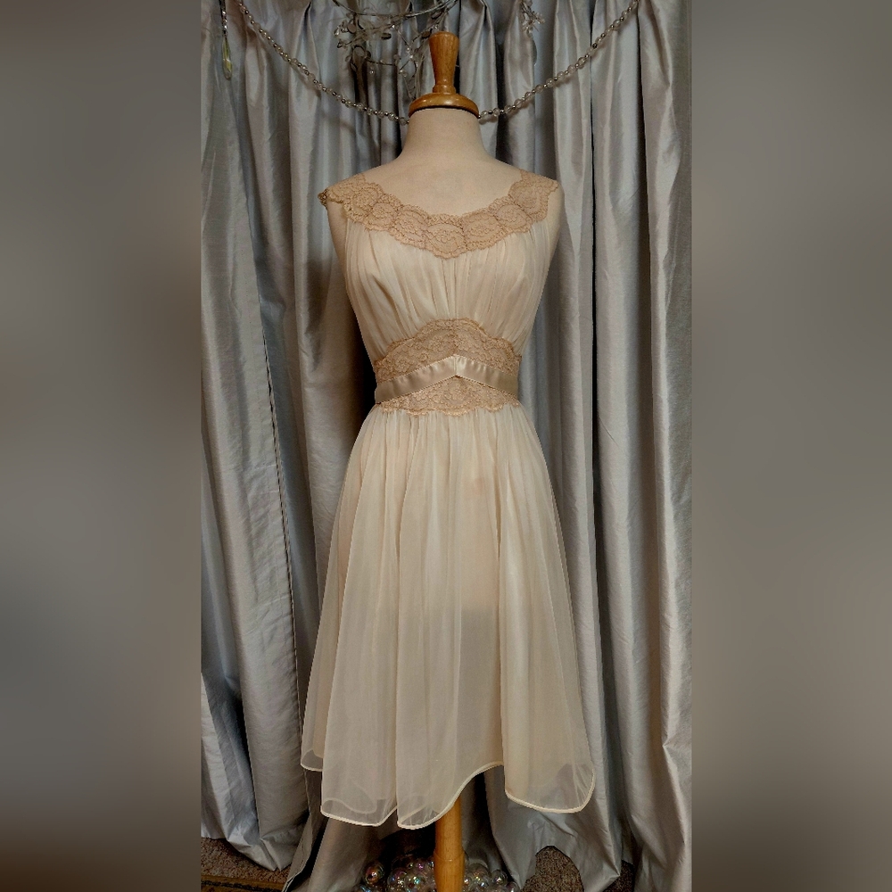Vintage Negligee - image 1